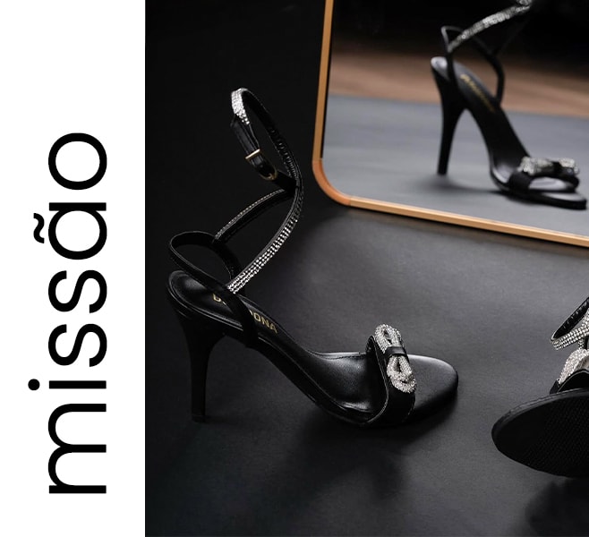 Conceitos missão domidona